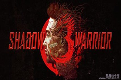 影子武士3 v1.06